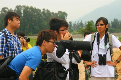 南生圍觀鳥活動 Bird watching in Nam Sang Wai